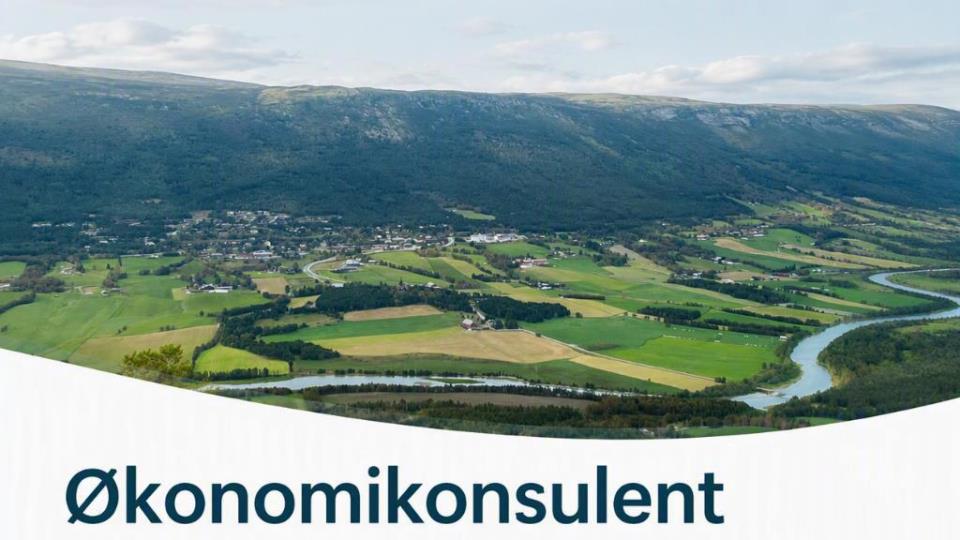 Lenke til artikkel: Økonomikonsulent – 100 % fast stilling 