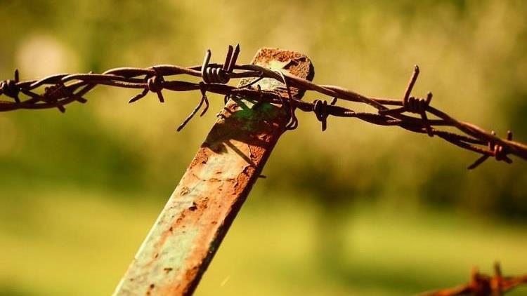 Lenke til artikkel: Tilskudd til rydding av gjerder