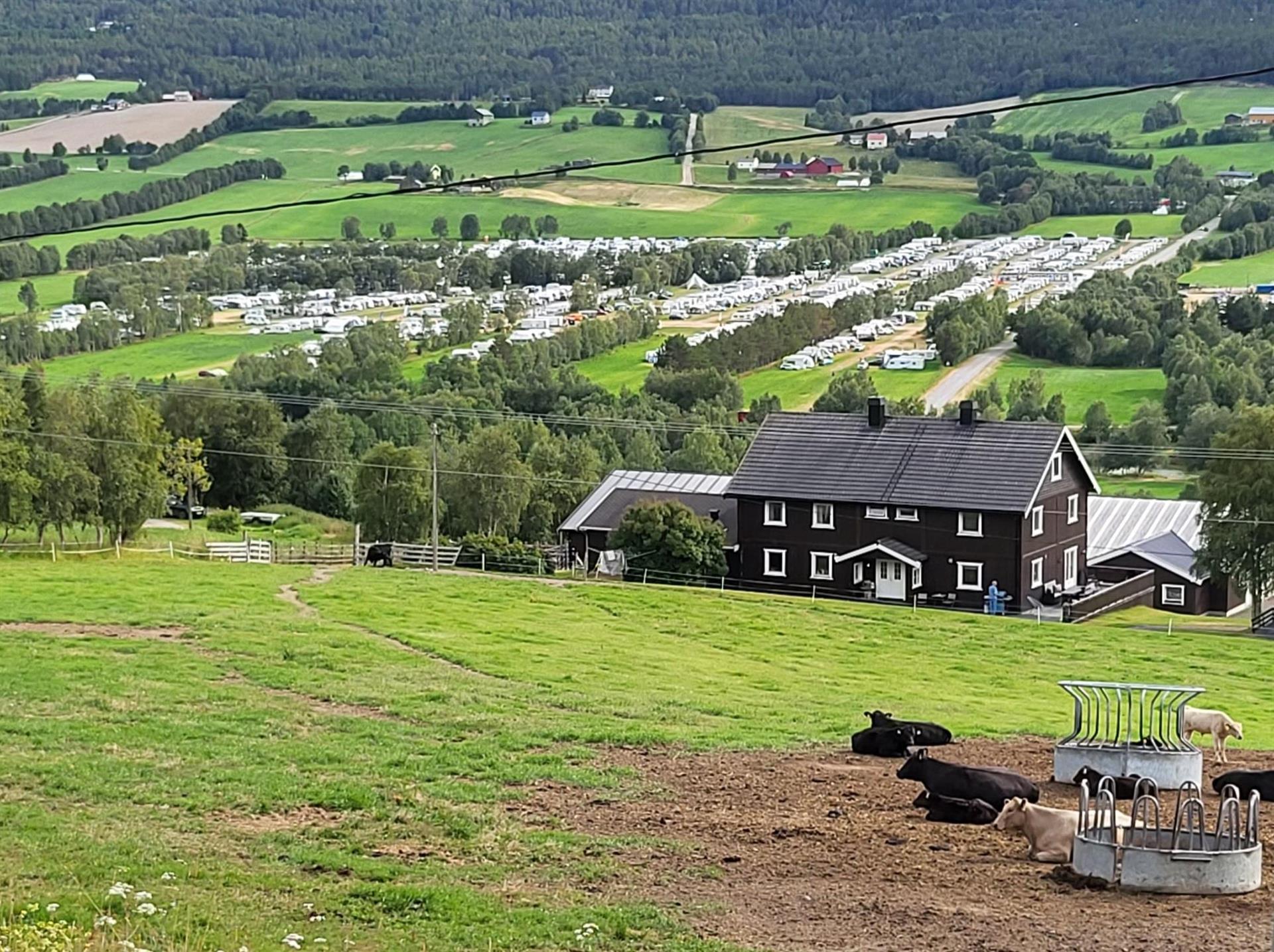 Bilde av mange hunde vogner og bobiler på jordene under LS 2026, Kyr og gårdsbygning i forkant